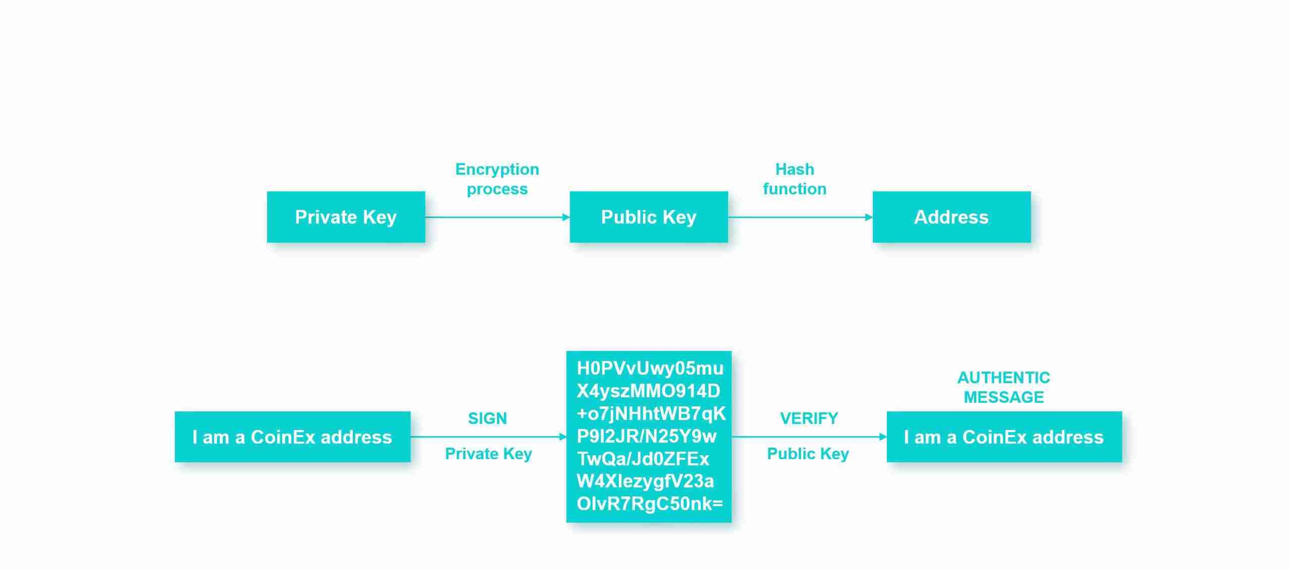 什么是储备证明？为什么它很重要？储备证明如何保证资产安全和透明？
